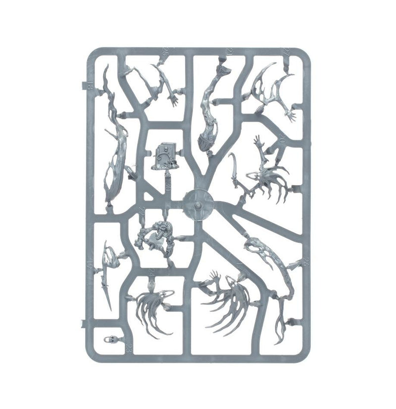 Warhammer Age of Sigmar Nighthaunt: Spirit Hosts