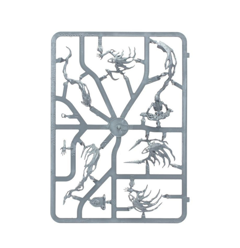 Warhammer Age of Sigmar Nighthaunt: Spirit Hosts