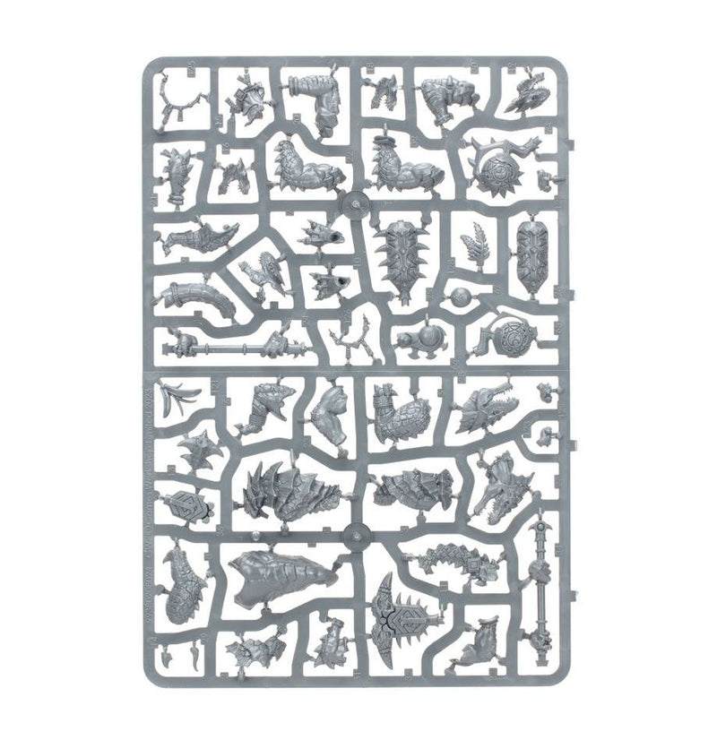 Warhammer Age of Sigmar Spearhead: Seraphon